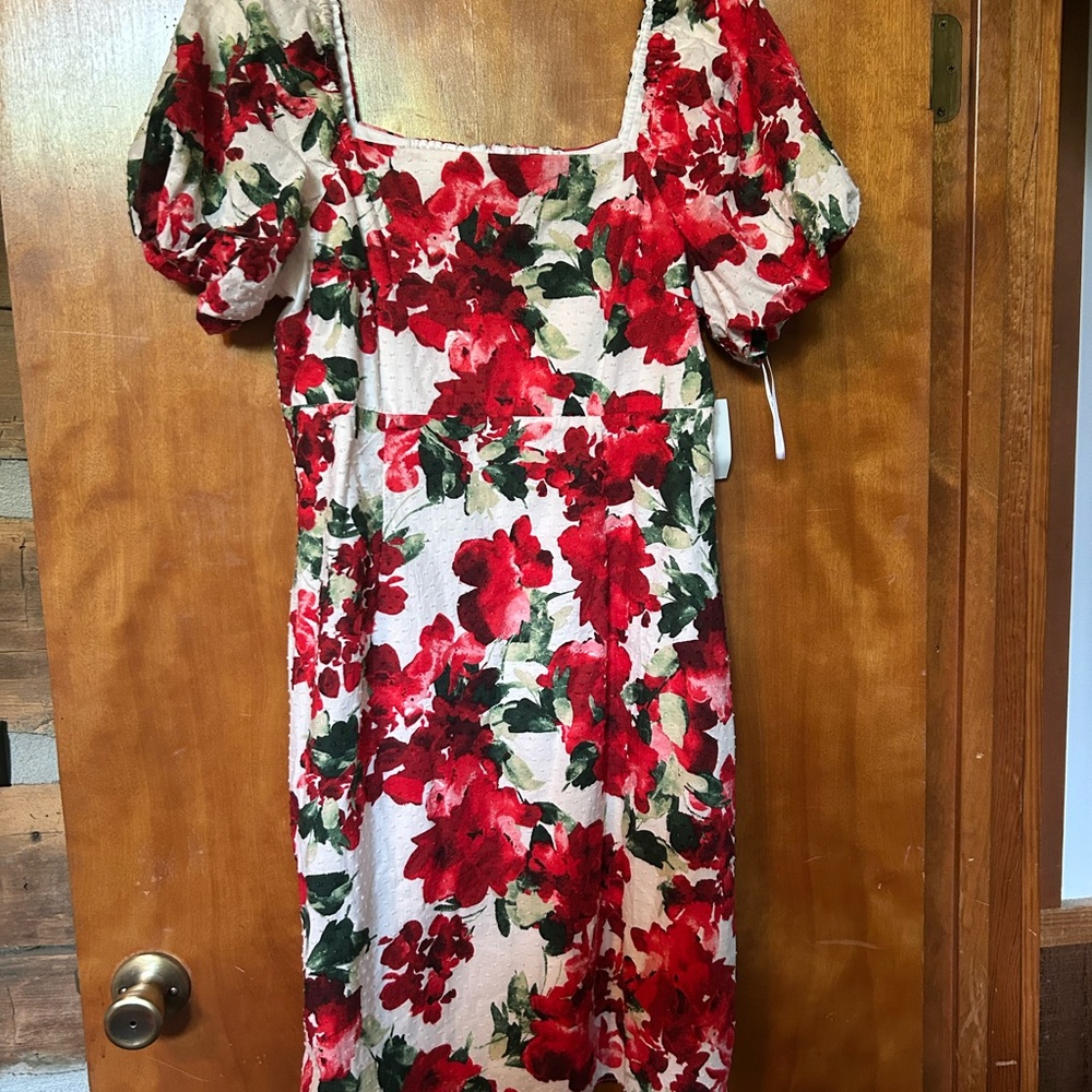Floral Red and Green Dress